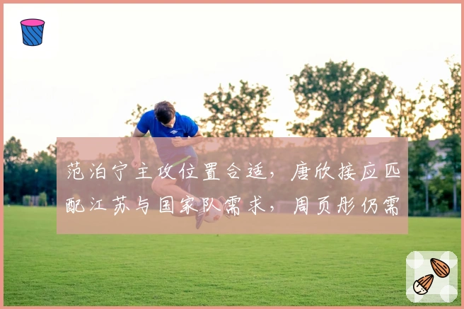 范泊宁主攻位置合适，唐欣接应匹配江苏与国家队需求，周页彤仍需努力