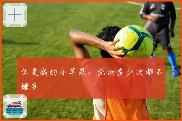 你是我的小苹果，无论多少次都不嫌多